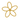 Frangipani